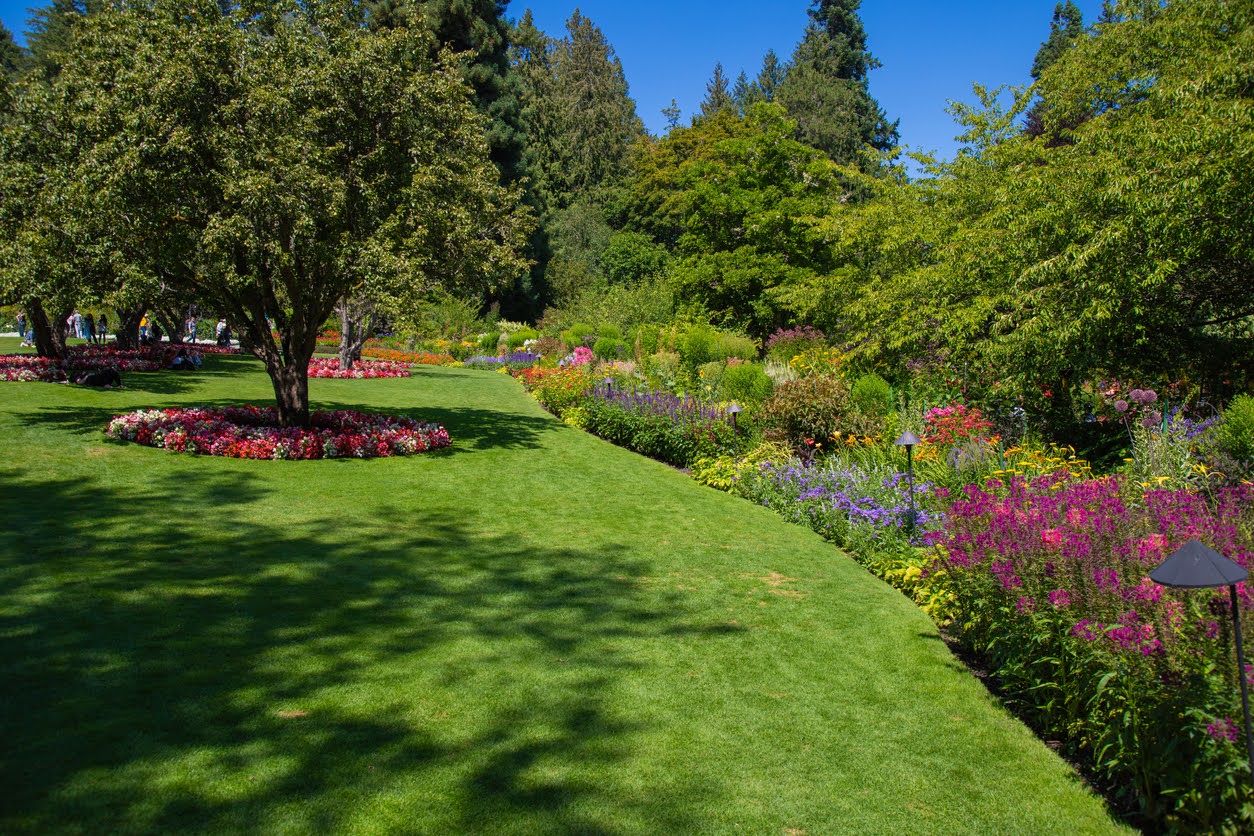 Full-service landscaping